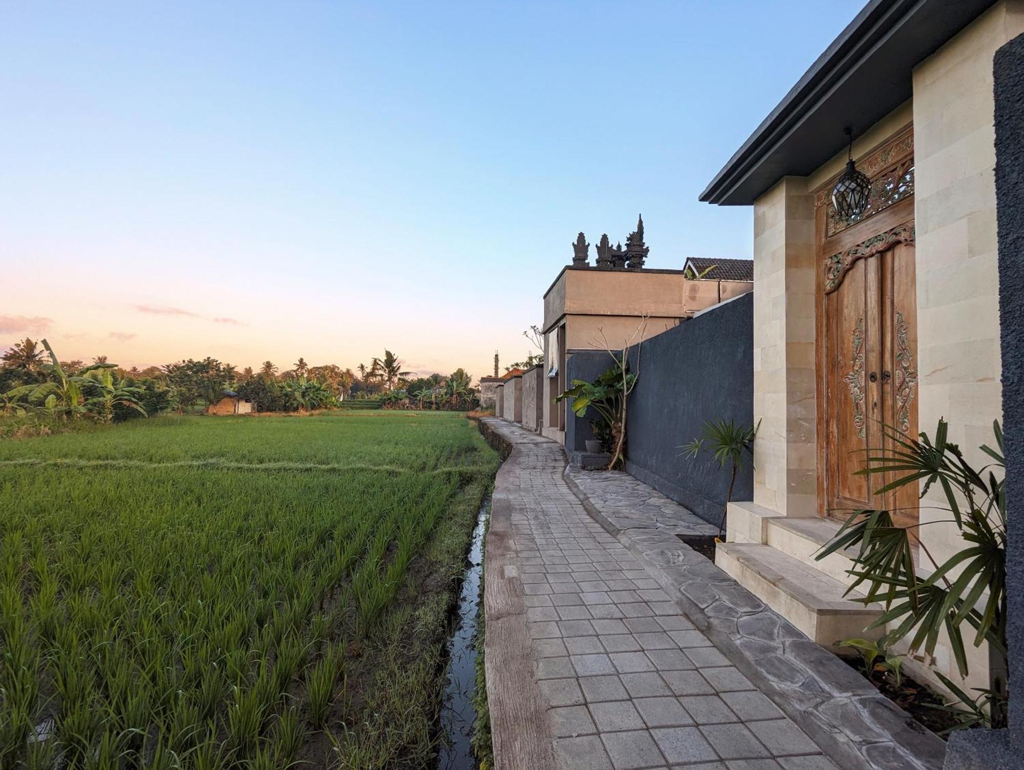 Villa Na-Na Ubud Exteriér fotografie